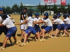 IMG_0480.jpg