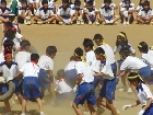 CIMG3763.jpg